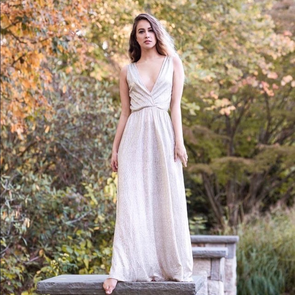 Lulus Sparkly Gown
